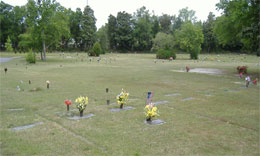 memorial_park_section