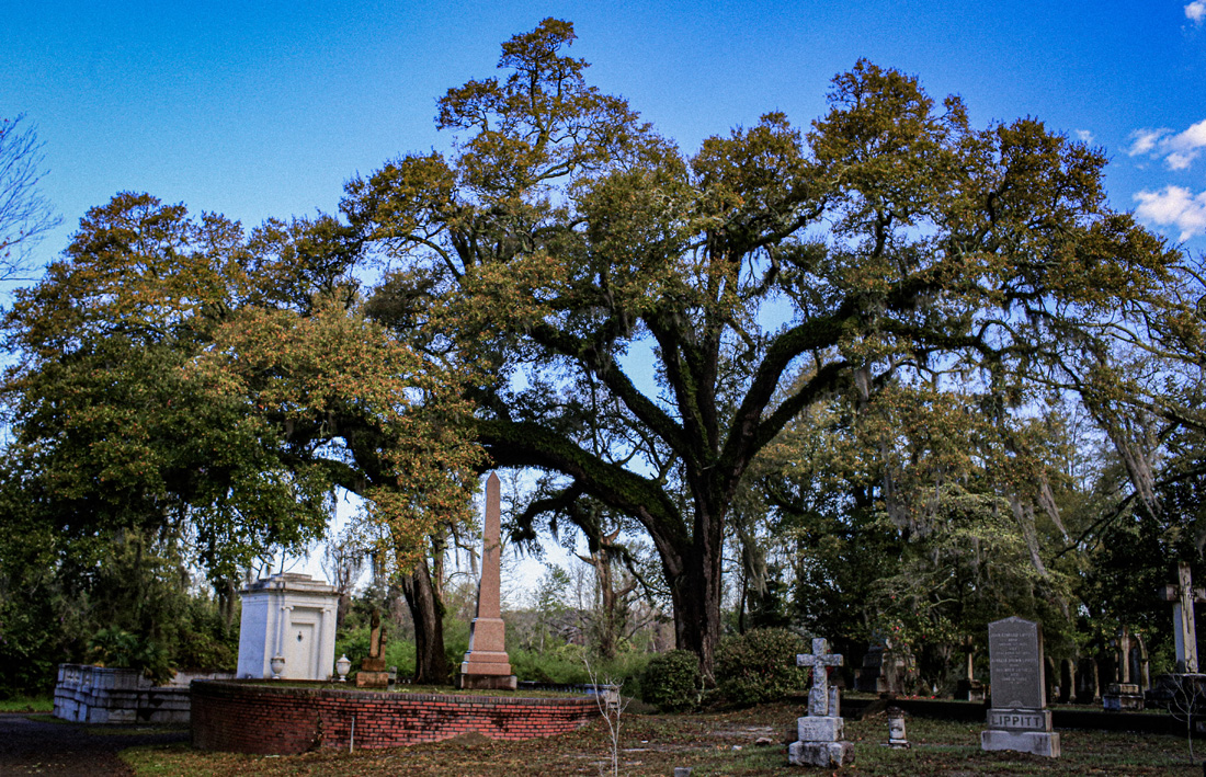 Oakdale Cemetery