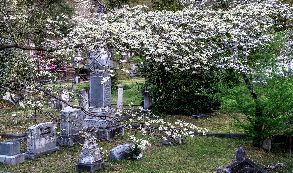 Oakdale Cemetery