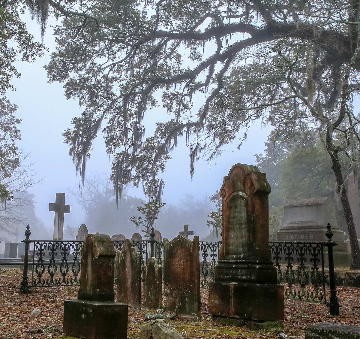 oakdaleHistory2 Oakdale Cemetery Wilmington NC
